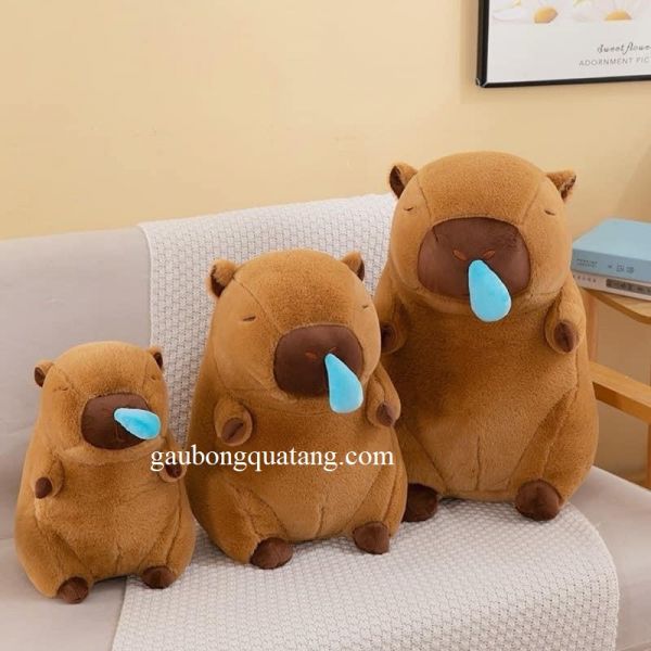 Capybara chay nuoc mui gia re tai tan phu